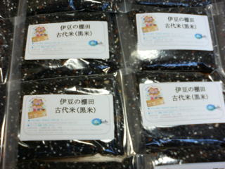 �Ñ�ă��x���\��