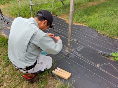 �d�C��̓d���O��