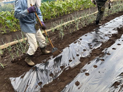 �}���`����