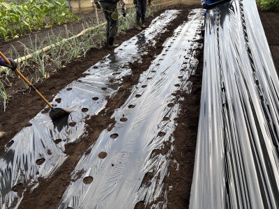 �}���`����