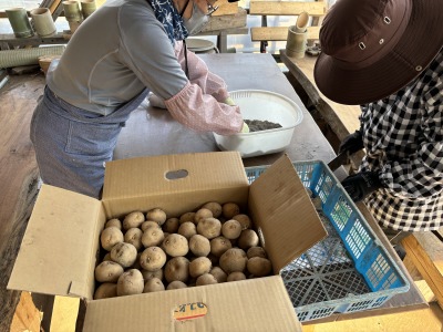 ���Ⴊ�����؂�