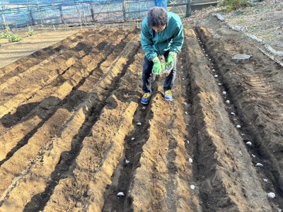 ���Ⴊ�����A���t��