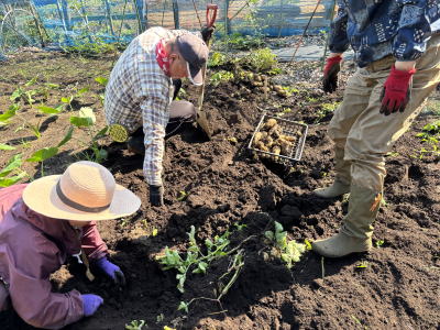 ���Ⴊ�����@��