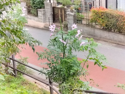 �c��_���A