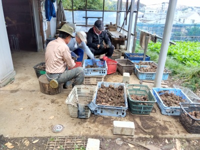 �������؂�