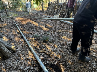 �x������