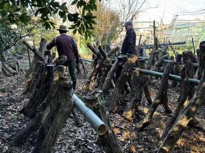 �z�_�ؗ���