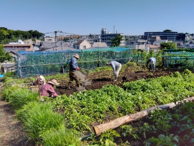 ���Ⴊ�����@��