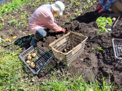 ���Ⴊ�������l