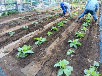 �u���b�R���[