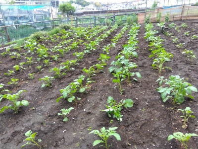 ���Ⴊ����