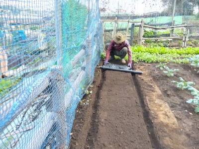 �}���`����