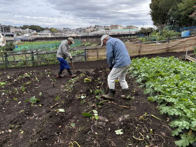 �@��N����