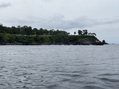 �S���t��