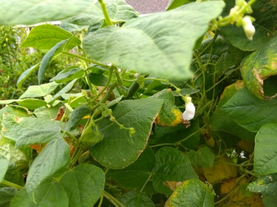 �C���Q��