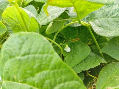 �C���Q��