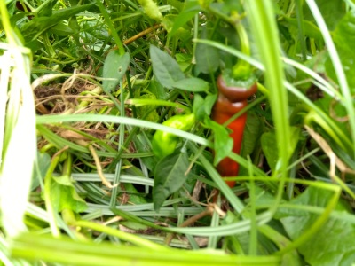 ���莛���h�q