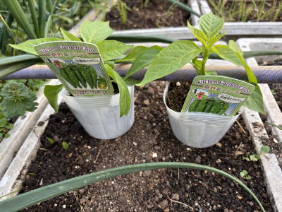 ���莛���h�q