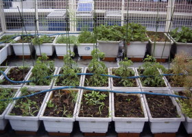 �~�j�g�}�g�S�i