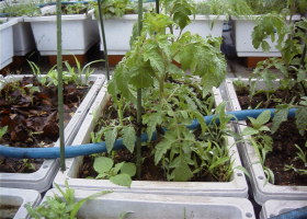 �~�j�g�}�g�A�b�v