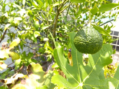 �|���^��