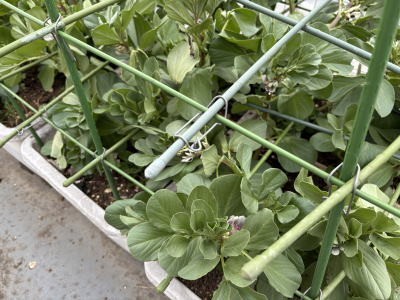 �\���}��