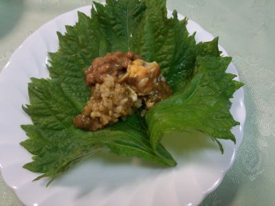 ���h�����[���ʎq�J���[