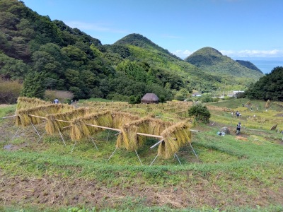 �͂�����