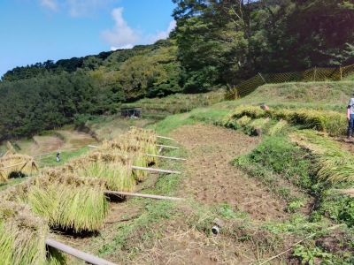 �͂�����