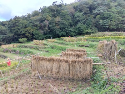 �͂�����