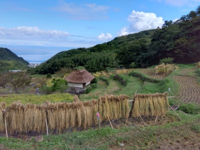 �͂�����