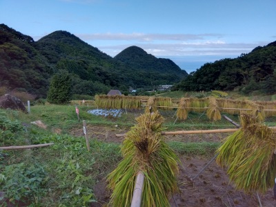 �͂�����