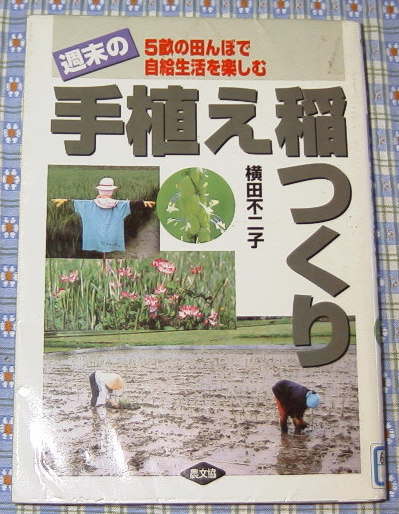 手植え稲作り