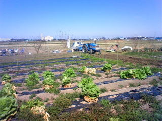 ���؂ƃg���N�^�[