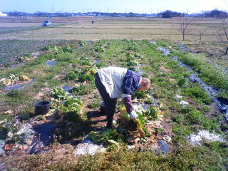 �}���`���͂���