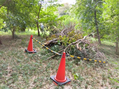 �����}����