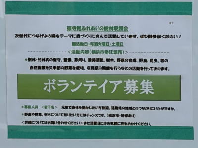 �{�����e�B�A��W