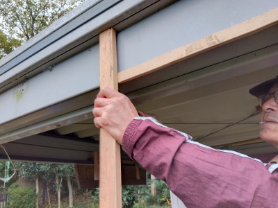 �������V�[�g����