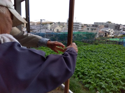 �������V�[�g����