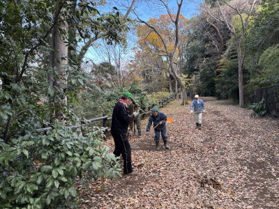 �����t�W��