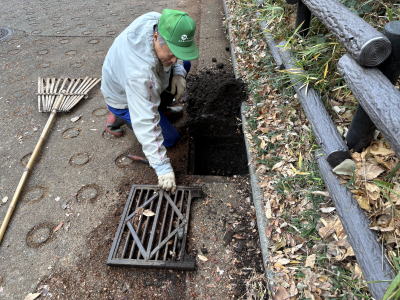 �����t�E��