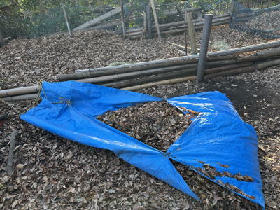 �����t�E��