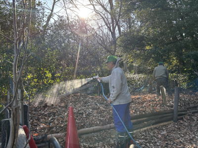 �����t�W��