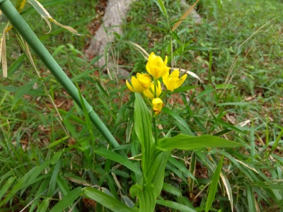 �L������