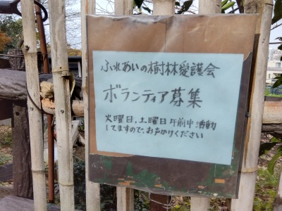 �{�����e�B�A��W